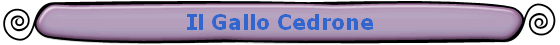 Il Gallo Cedrone