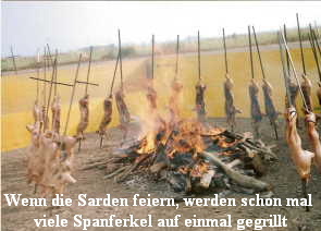 Wenn die Sarden feiern, werden schon mal 
viele Spanferkel auf einmal gegrillt