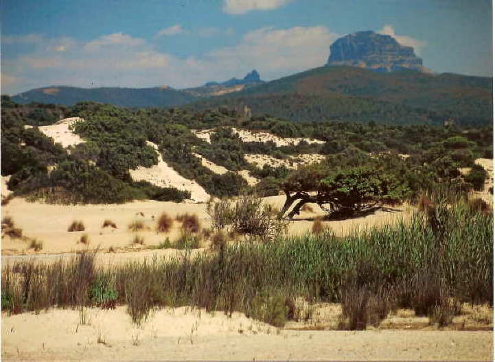 Sand-D�nen Costa Verde